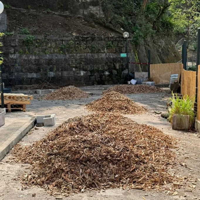 656192083_927912356274914_3566044319058778597_n