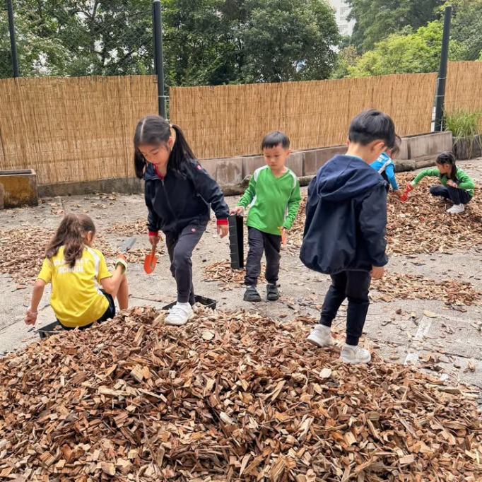 656539130_928468866219263_475202974613247611_n