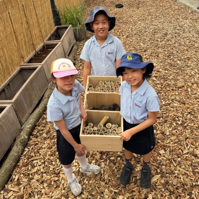 657125828_928775266188623_5087528941395582963_n